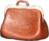Cast gladstone bag