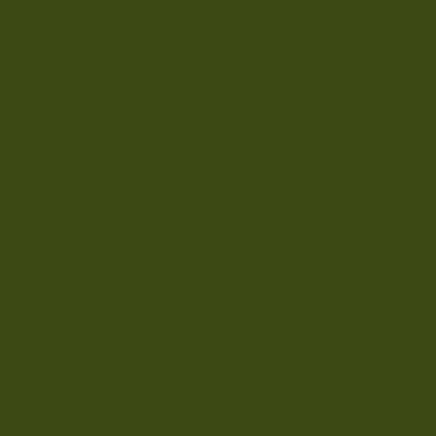 Olive Green - BS220